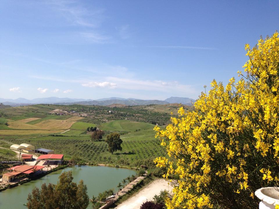 Villa Ciuci'S Manor Aragona Exterior foto